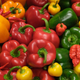 Pile of multicolored bell peppers